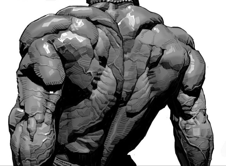 Illustration of a muscular back, emphasizing the strength and definition achieved through a weighted calisthenics program.