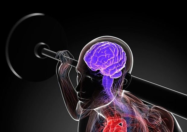 Illustration of the Mind Muscle Connection, showing brain activation during a weightlifting exercise to enhance workout results.