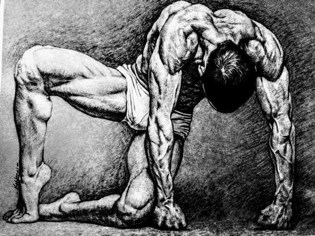 A detailed illustration of a muscular person in a kneeling pose, showcasing strength and definition, used for the article 'Calisthenics Training at Home: Balancing Volume & Intensity.'